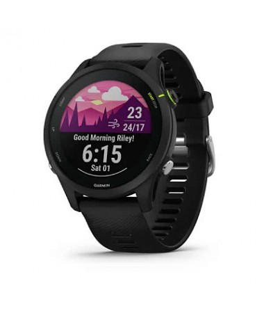 Garmin Forerunner 255 Basic, Slate Grey 010-02641-10